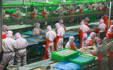 為品質(zhì)發(fā)聲，洛陽(yáng)正大食品舉辦全省媒體行活動(dòng) 透明工廠鑄就安心美味